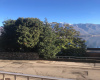 Lungolago Motta, Ticino Melide, 2.5 Stanze da Letto Stanze da Letto, ,1 BagnoBathrooms,Appartamento,Affitto,Lungolago Motta,1146
