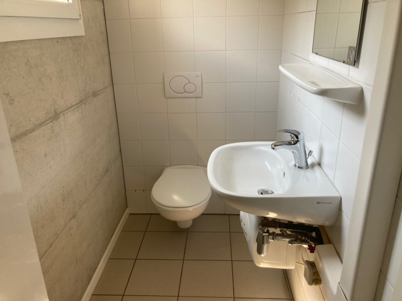 Via Cantonale 60, Ticino Mezzovico, 1 Stanza Stanze,1 BagnoBathrooms,Ufficio,Affitto,CORA,Via Cantonale 60,1,1170