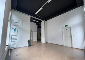 Via Cantonale 19, Ticino Mezzovico, 0 , 0 ,0,Spazio commerciale,Affitto,ESAPLAST,Via Cantonale 19,0,1172