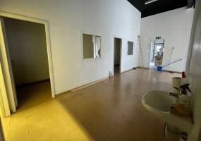 Via Cantonale 19, Ticino Mezzovico, 0 , 0 ,0,Spazio commerciale,Affitto,ESAPLAST,Via Cantonale 19,0,1172