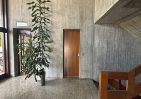 Via dei Faggi 1, Ticino Pazzallo, 3 Stanze da Letto Stanze da Letto, 0 ,1 BagnoBathrooms,Appartamento,Affitto,Torre Alpha,Via dei Faggi 1,1,1183 Via dei Faggi 1, Ticino Pazzallo, 3 Stanze da Letto Stanze da Letto, 0 ,1 BagnoBathrooms,Appartamento,Affitto,Torre Alpha,Via dei Faggi 1,1,1183