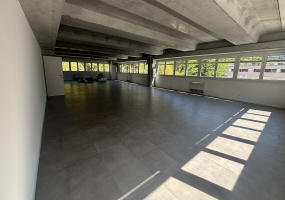Via Cantonale 47, Ticino Mezzovico, 0 , 1 Stanza Stanze,2 BathroomsBathrooms,Ufficio,Affitto,Via Cantonale 47,3,1189