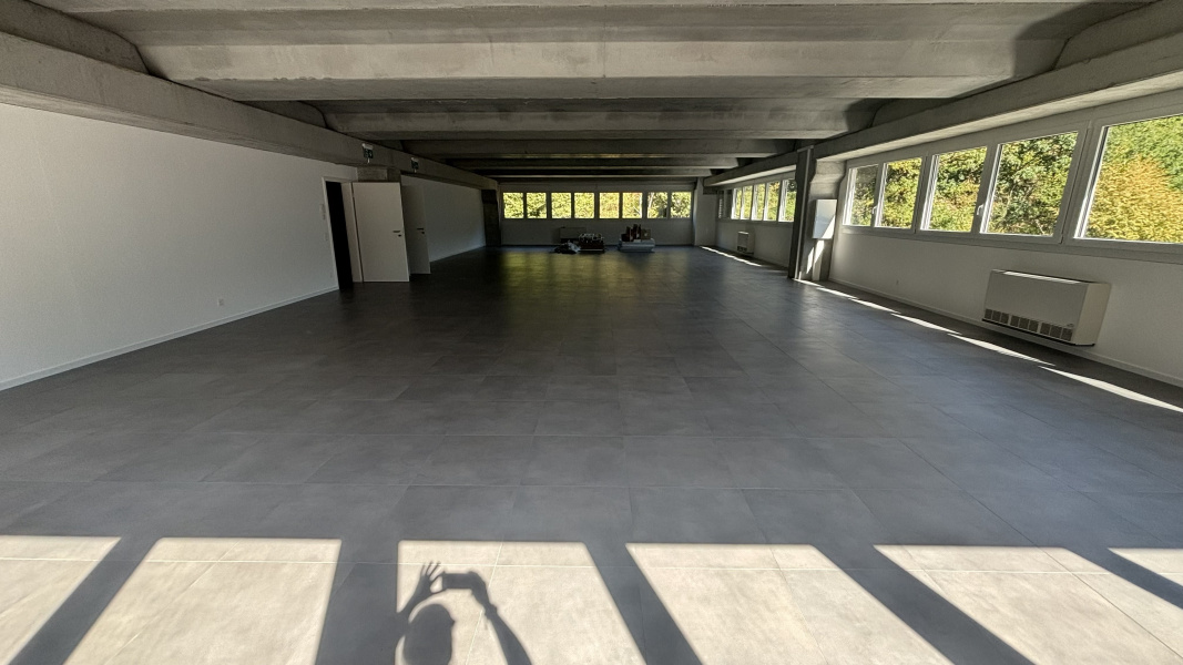Via Cantonale 47, Ticino Mezzovico, 0 , 1 Stanza Stanze,2 BathroomsBathrooms,Ufficio,Affitto,Via Cantonale 47,3,1189