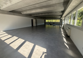 Via Cantonale 47, Ticino Mezzovico, 0 , 1 Stanza Stanze,2 BathroomsBathrooms,Ufficio,Affitto,Via Cantonale 47,3,1189